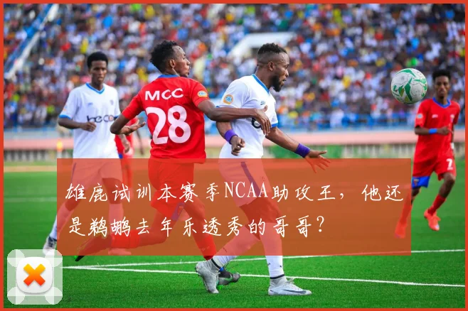 雄鹿试训本赛季NCAA助攻王，他还是鹈鹕去年乐透秀的哥哥？