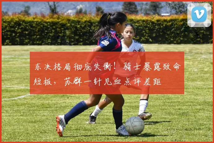 东决格局彻底失衡！骑士暴露致命短板，苏群一针见血点评差距