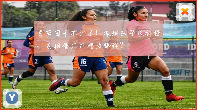 男篮国手不打了!深圳队寻求补强,或租借广东潜力锋线?