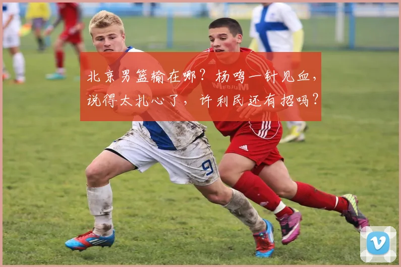 北京男篮输在哪？杨鸣一针见血，说得太扎心了，许利民还有招吗？